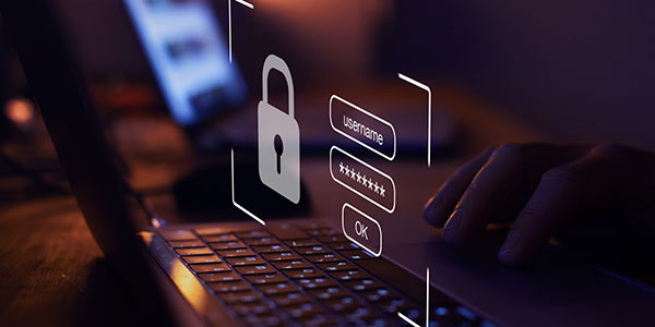 STANDARD BANK SWAZILAND BUSINESS ONLINE visual data 2